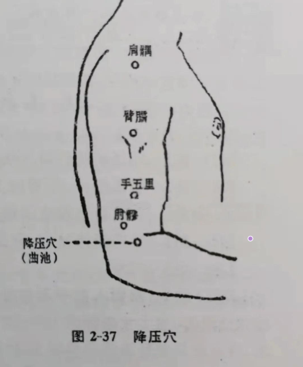 【位置】 相当于传统腧穴曲池穴.