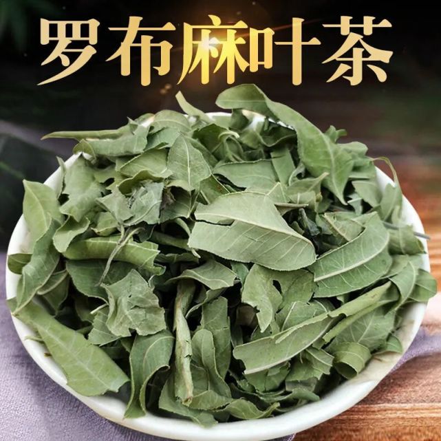 罗布麻叶的功效和作用罗布麻叶的副作用及禁忌