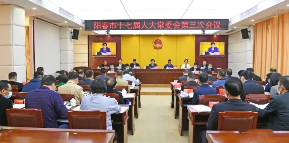 阳春市人民代表大会常务委员会决定任命名单