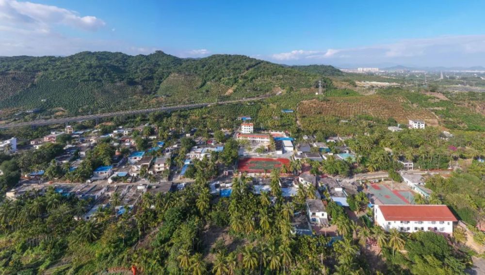 位于三亚海棠区的北山村,是一个黎族同胞聚居村落,头枕大山,四周绿树