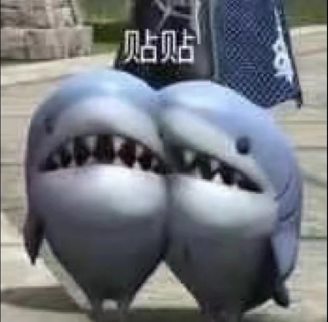 沙雕表情包第172期可爱鲨鱼表情包