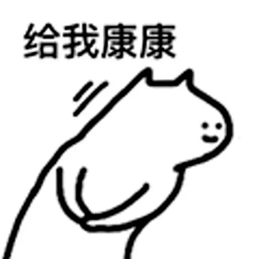 "最近超火的查岗猫猫表情包"