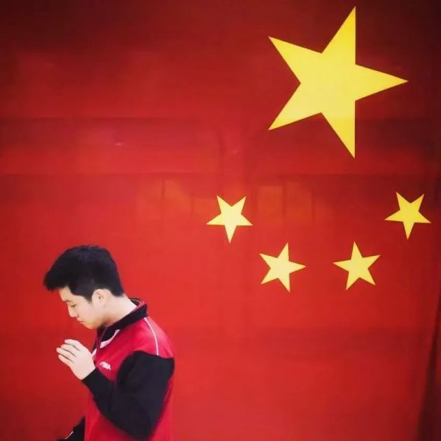 樊振东头像