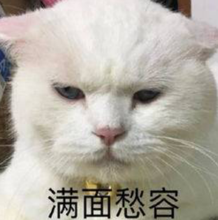 委屈猫猫表情包小猫咪凭什么要单身呢