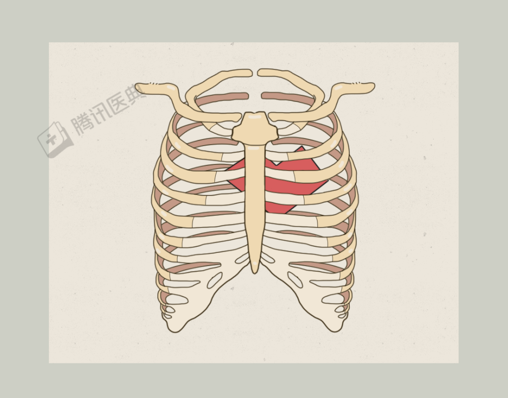 强烈的心痛,大概在胸骨后的位置[1],偶尔颈部,牙齿,喉咙,肩膀也会