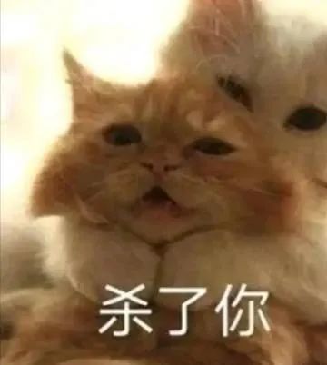 表情包把小珍珠憋回去了