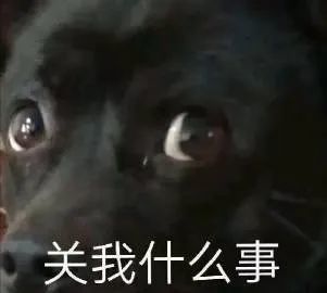 表情包把小珍珠憋回去了