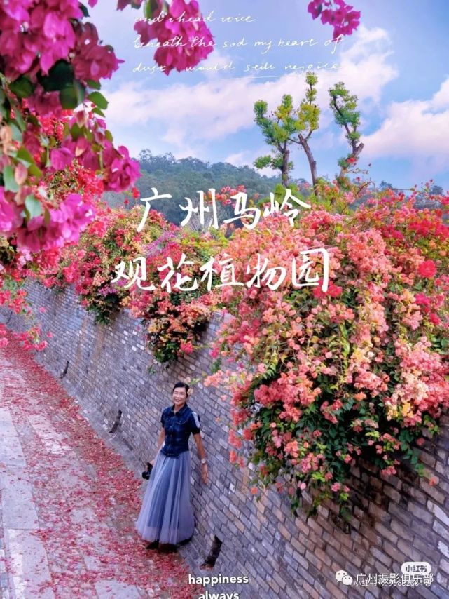 01月16日 马岭观花植物园 花海人像 环境人像摄影创作活动