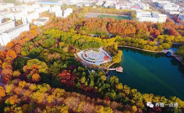 【人物志】马泽芳,青岛农业大学教授,特种经济动物养殖学科负责人