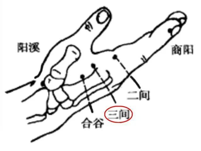 (3)痛在肩髎穴附近:取绝骨穴(或中渚穴或阳陵泉穴(4)痛在肩贞穴附近