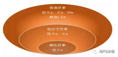 抗凝|阿司匹林|低分子肝素|lmwh|妊娠期