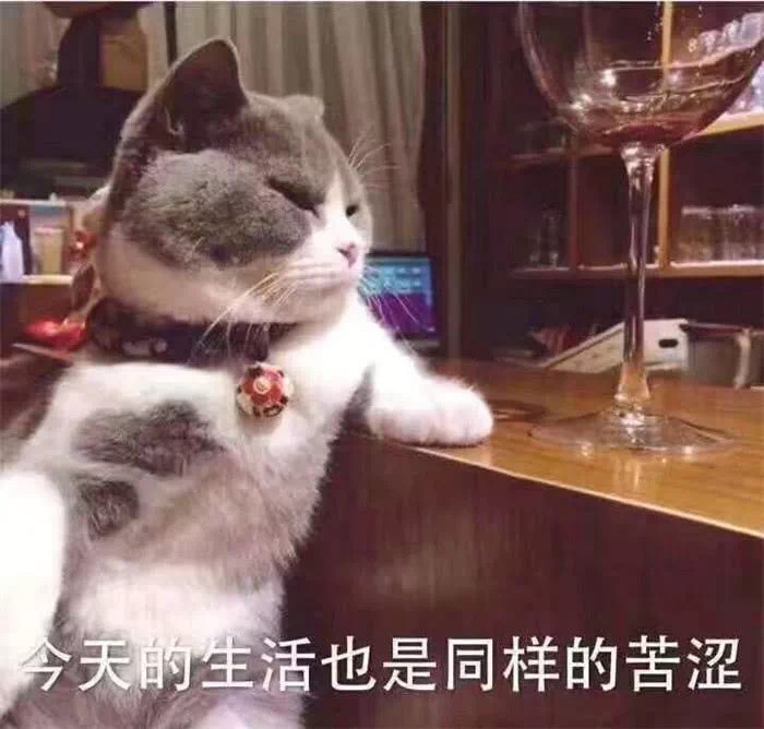 猫咪被生活拿捏表情包我只是一只小猫咪不应当为生活发愁