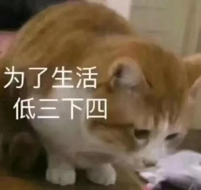 猫咪被生活拿捏表情包我只是一只小猫咪不应当为生活发愁