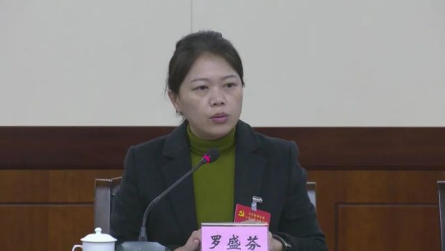 市委八届二次全会开展分组讨论:罗盛芬 伍德凤 陈伶