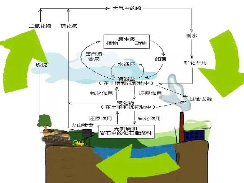 高中化学自然界中的硫循环微课精讲知识点教案课件习题