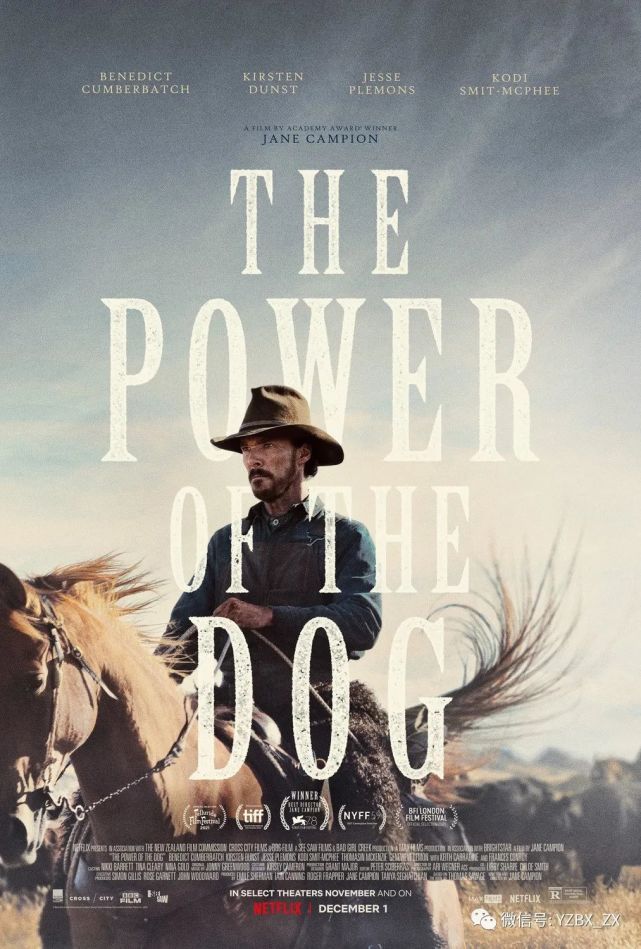 thepowerofdog犬之力完美的谋杀