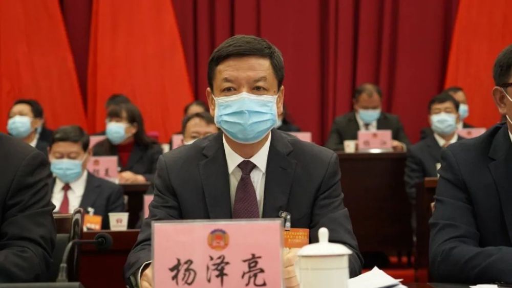王丽能,杨炽全,杨敬成,李雪松,栗成清,赵忠,张立煌,徐东柱,杨正军,熊