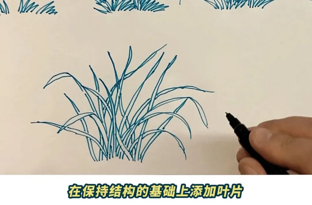 画法拆解芦苇草怎么画