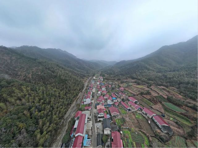 苏学理的家,在东至县木塔乡白果树村,老屋就建在村口,门前有一条窄窄