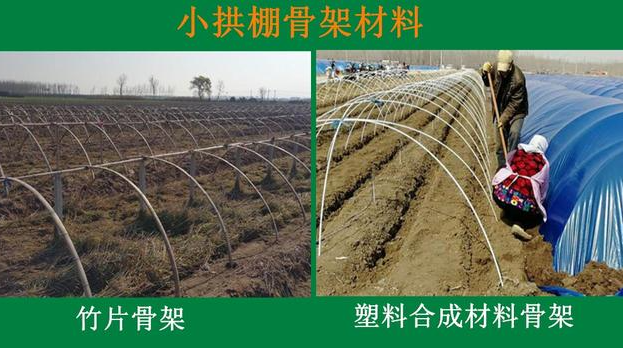 蔬菜小拱棚,用什么材料?|塑料薄膜|蔬菜|骨架|薄膜|小