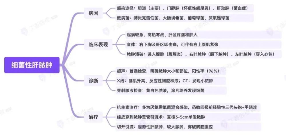 思维导图消化系统之细菌性肝脓肿