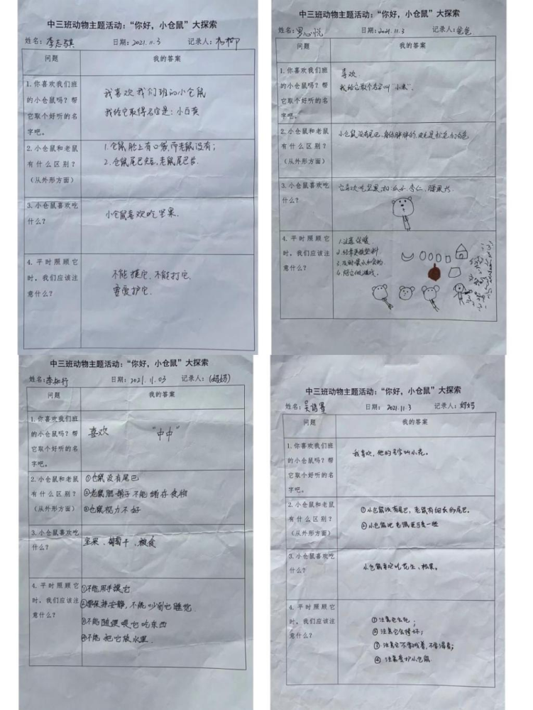 起为小仓鼠取名字,同时查阅资料了解小仓鼠的生活习性,记录在调查表中