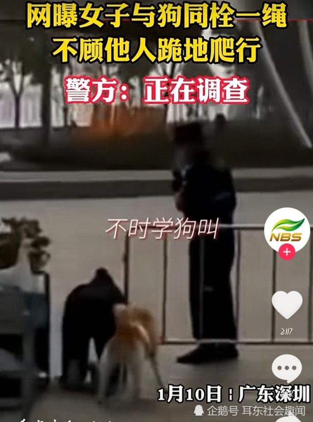 女子和狗同拴一条绳跪地爬行,时不时学狗叫