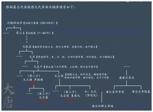 元氏家族为北魏皇室后裔,鲜卑人,本姓拓跋,孝文帝改革时改姓为元.