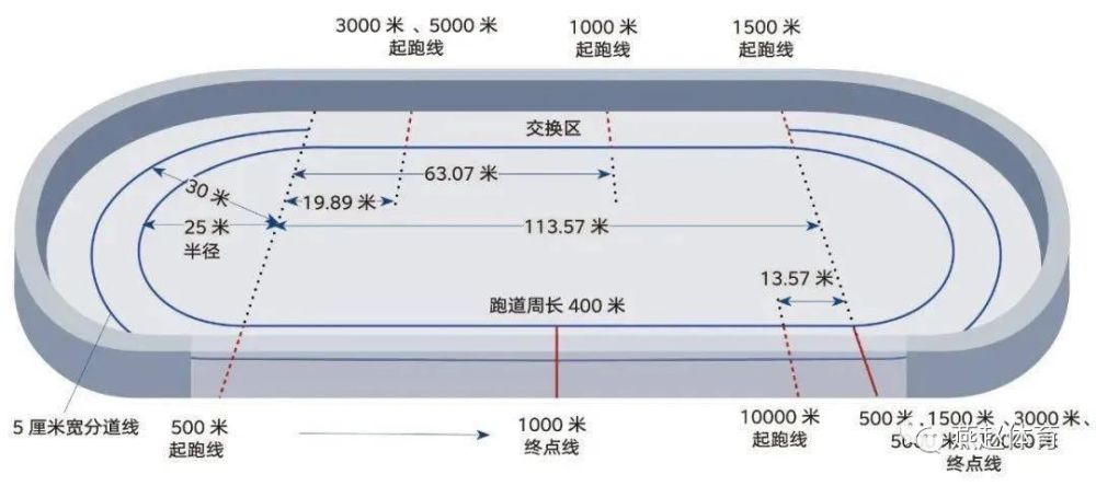 短道速滑和速度滑冰的区别