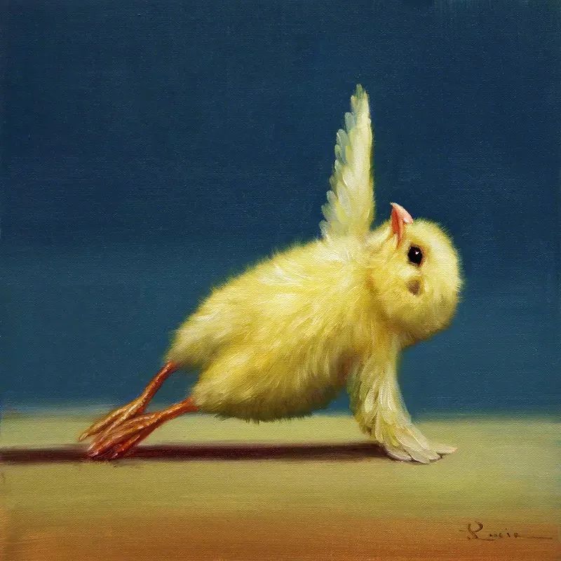 一位画家笔下的一只会做瑜伽的小鸡