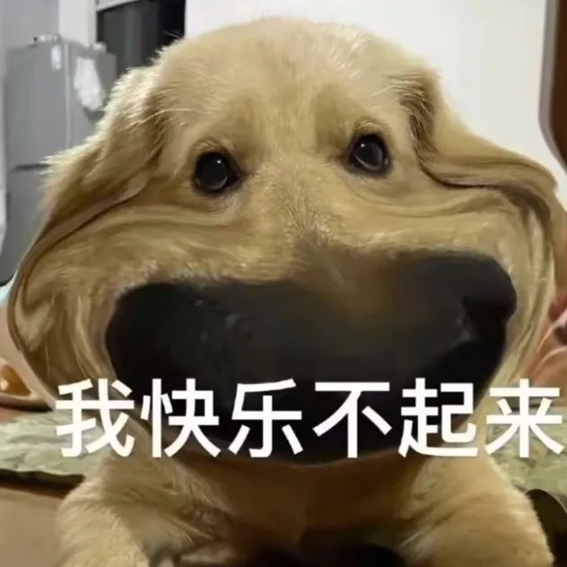 近期热门表情包合集胖脸特效