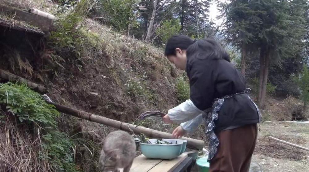 在朋友的介绍下,她来到湖南邵阳的一个山村,租下一个小院子,那里有