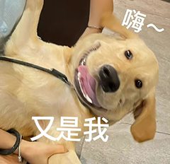 你想要的沙雕表情包我都能安排