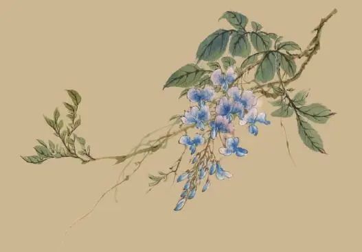 书画联盟丨藤本花卉《紫藤》没骨画法简单步骤示范