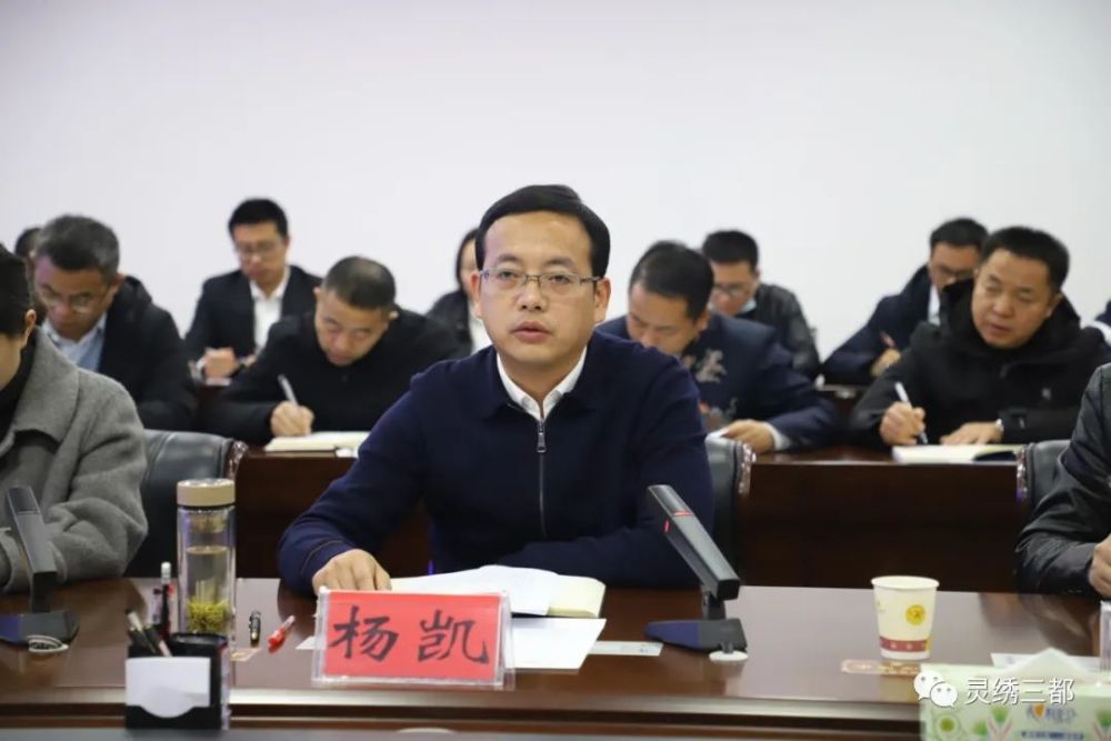 杨凯对专家组提出的意见和建议表示感谢,并表示,三都将以本次评估为