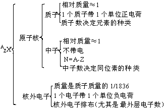 原子的构成是本节重点,我们需要掌握的关系式:整理归纳:质量关系(3)电