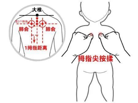 顺时针揉50次,逆时针50次揉膻中穴;1,清肺经:肺经在无名指掌面,推拿的