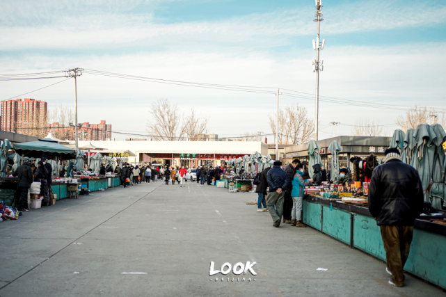 北京必逛寻宝圣地·大柳树市场|北京look