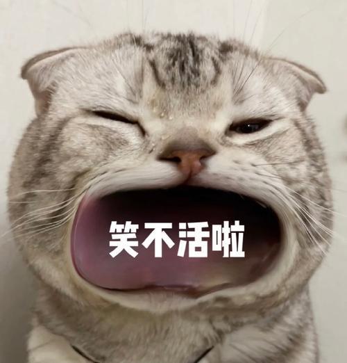 大嘴可爱猫猫表情包聊天必备