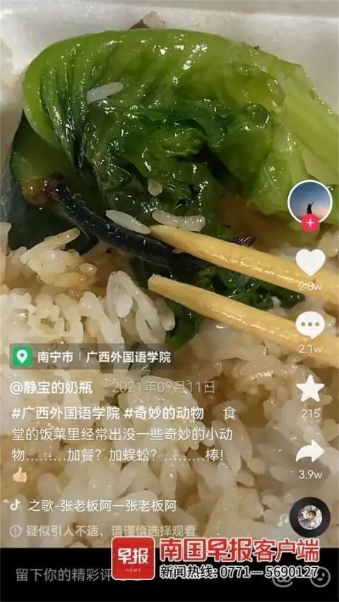 为广西外国语学院的学生在抖音平台发布视频,称在食堂饭菜里吃到虫子