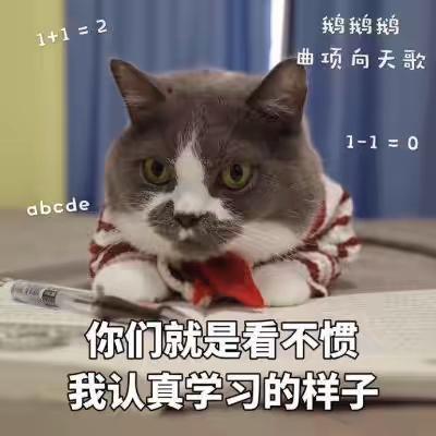 猫咪期末学习表情包肩负学业重担变得郁郁寡欢