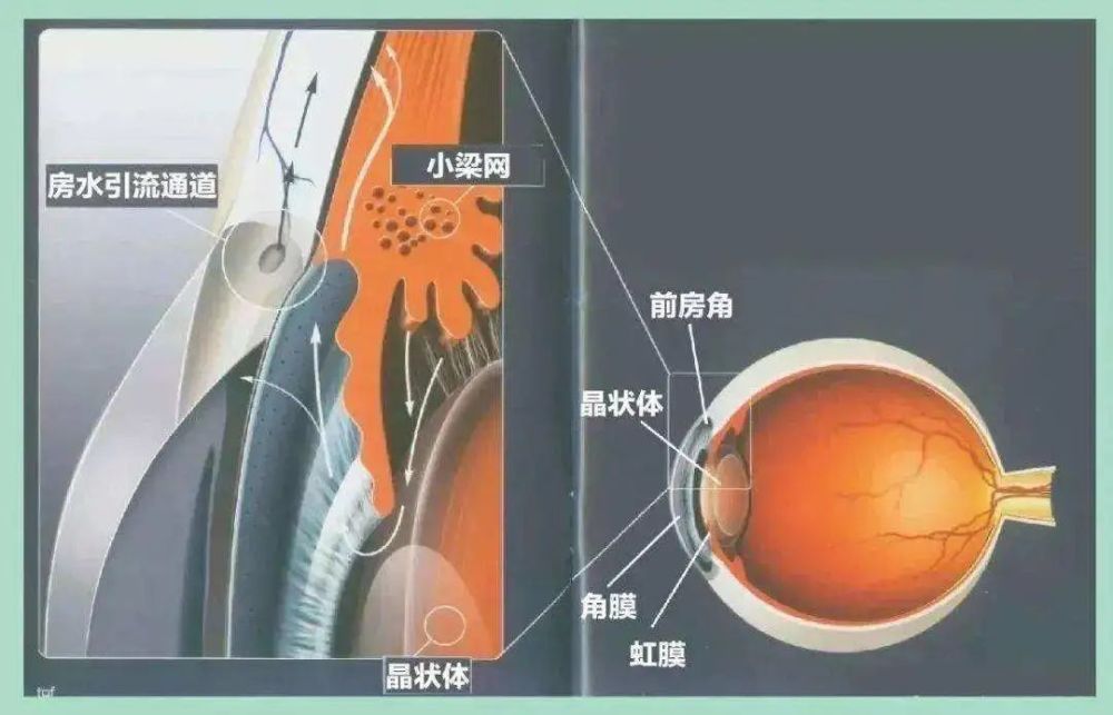 这眼病真的让人脑壳疼