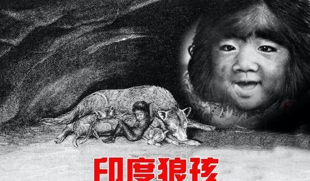 黑猩猩|温思罗普·凯洛格|唐纳德|卡玛拉