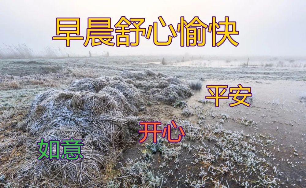 2022好看的朋友圈早安问候祝福语雪景图片_腾讯新闻