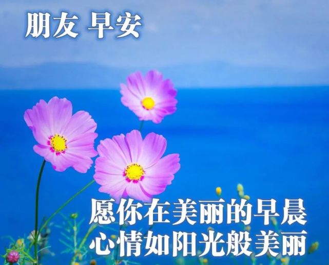 乐淘淘,好运伴,祝福来,每一分,每一秒,轻轻地,问候声,好朋友,早安!