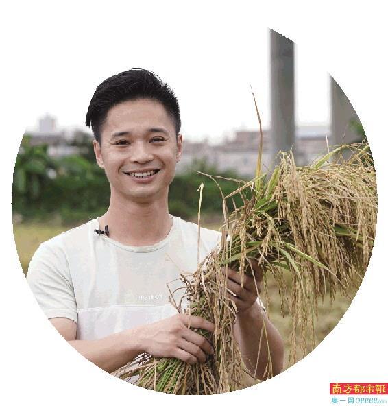 南都拍客 张向良 摄来自广东汕头的林岳锋,5年前从城市回到家乡,种起