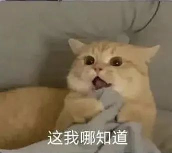 表情包你老公老婆走了没系列猫猫表情包