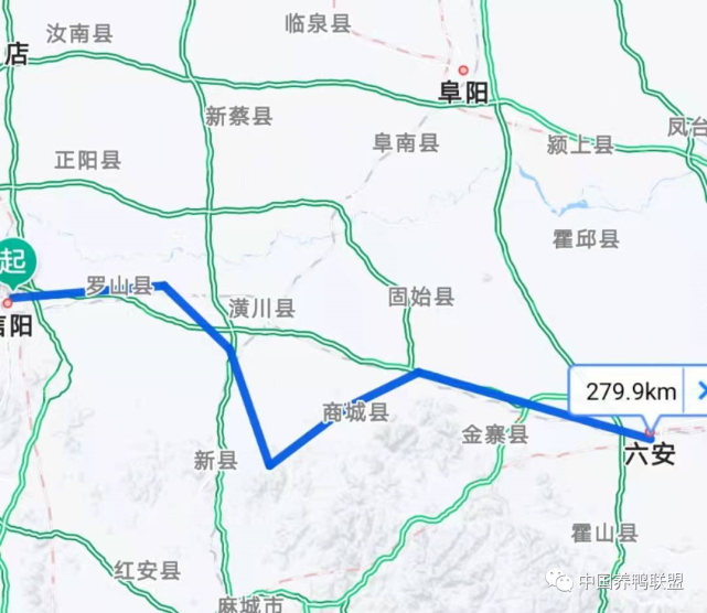 建议理想线路:信阳—罗山息县共站—潢川光山共站—新县东(八里畈镇)