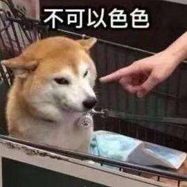 表情包59丨不可以色色
