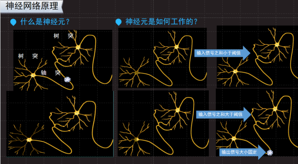 泰涨知识3神经元如何组成神经网络